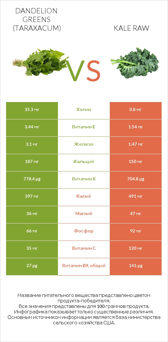 Листья одуванчика vs Kale raw infographic