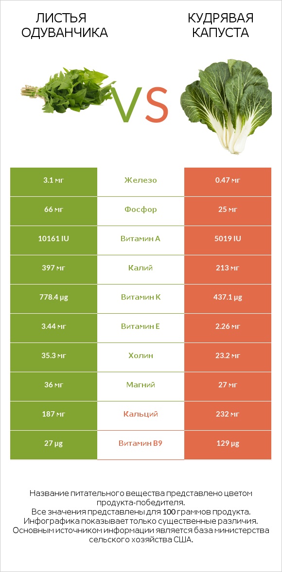 Листья одуванчика vs Кудрявая капуста infographic