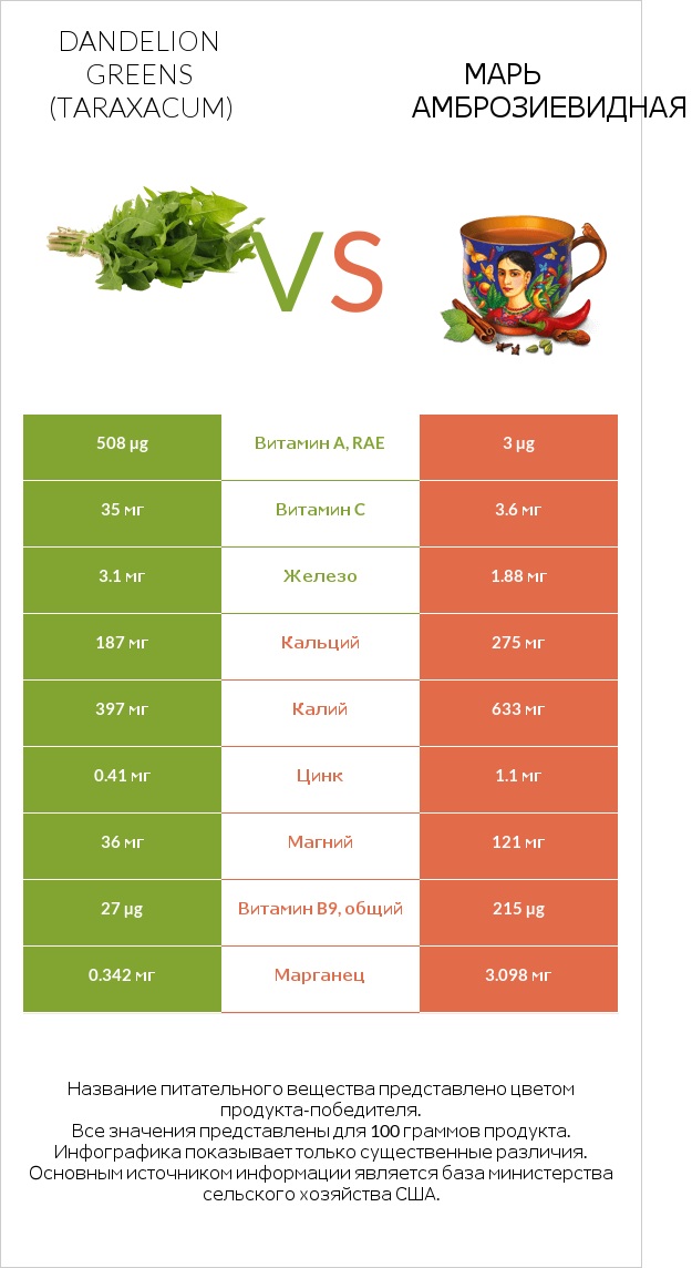 Dandelion greens vs Марь амброзиевидная infographic