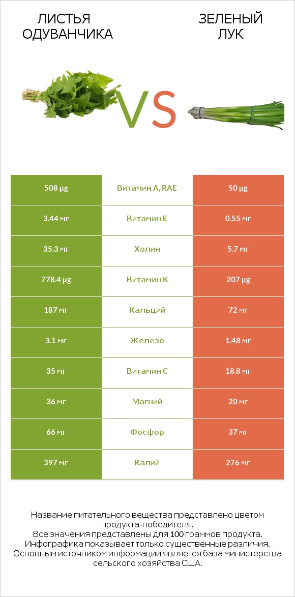 Листья одуванчика vs Зеленый лук infographic