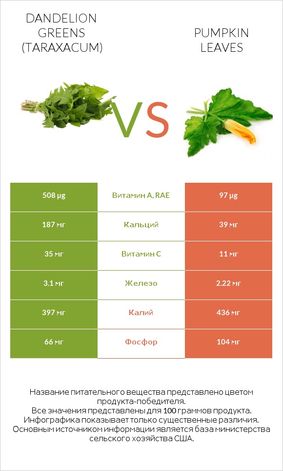 Dandelion greens vs Pumpkin leaves infographic