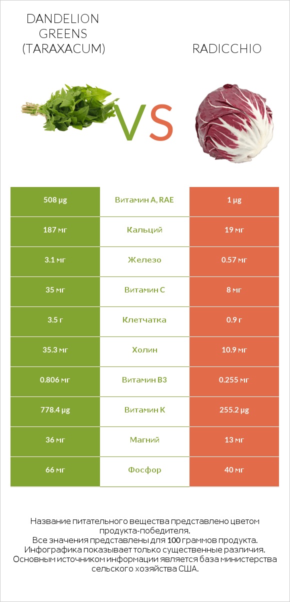Dandelion greens vs Radicchio infographic