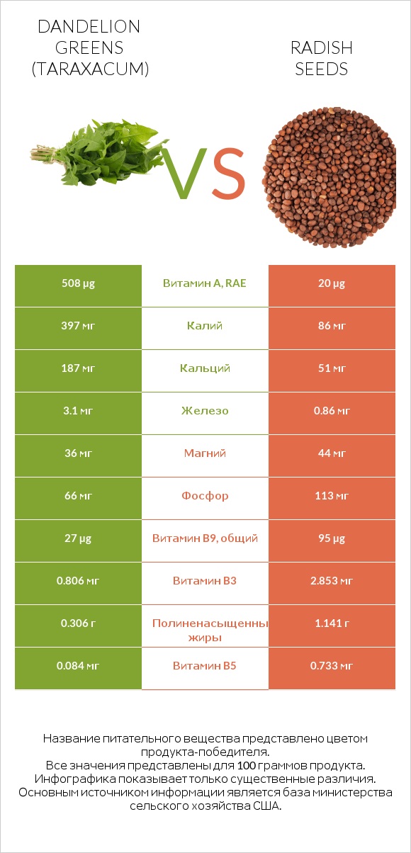Dandelion greens vs Radish seeds infographic
