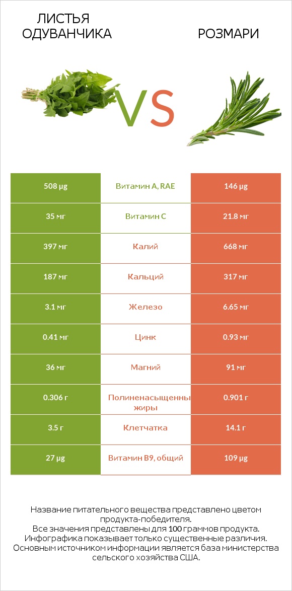 Листья одуванчика vs Розмари infographic