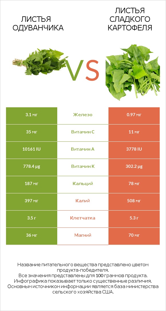 Листья одуванчика vs Листья сладкого картофеля infographic