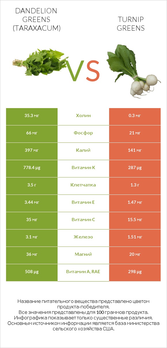 Dandelion greens vs Turnip greens infographic