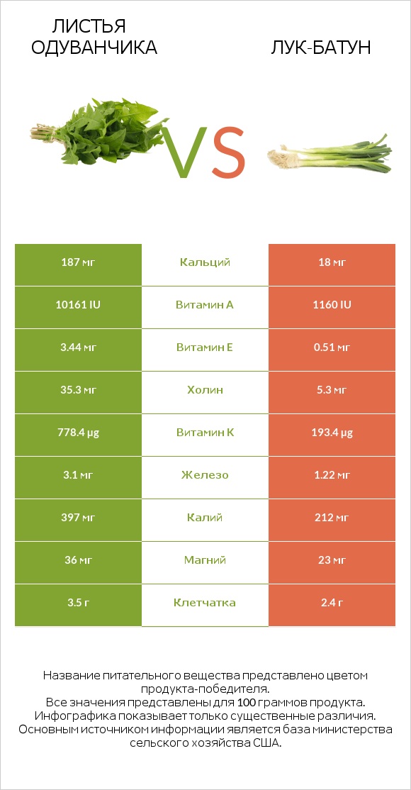 Листья одуванчика vs Лук-батун infographic