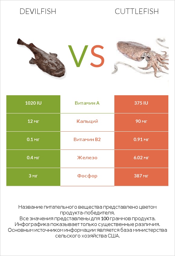 Devilfish vs Cuttlefish infographic