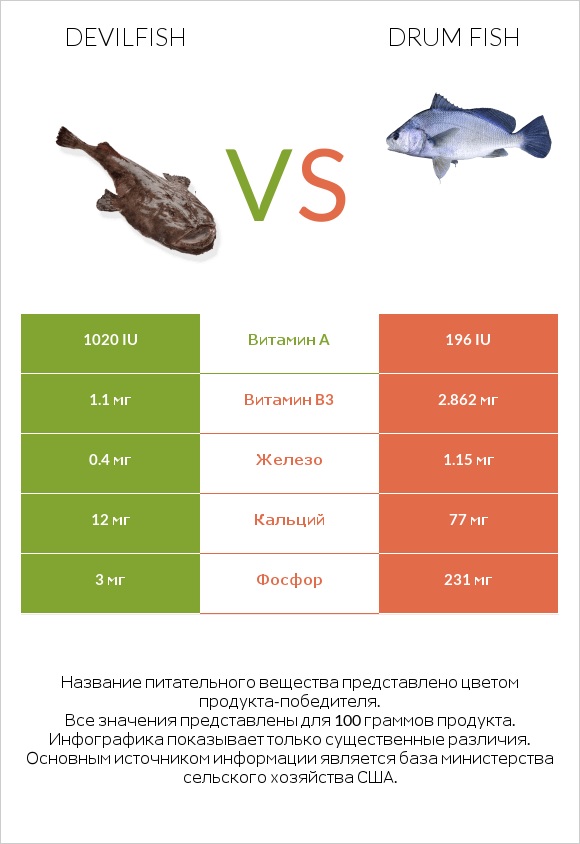 Devilfish vs Drum fish infographic