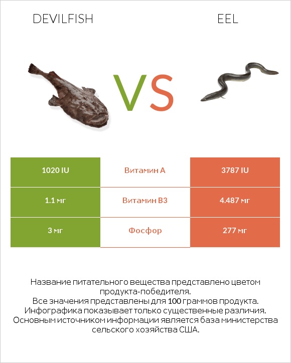 Devilfish vs Eel infographic