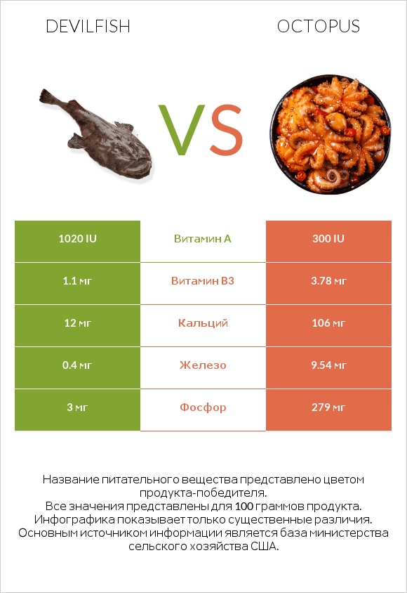 Devilfish vs Octopus infographic