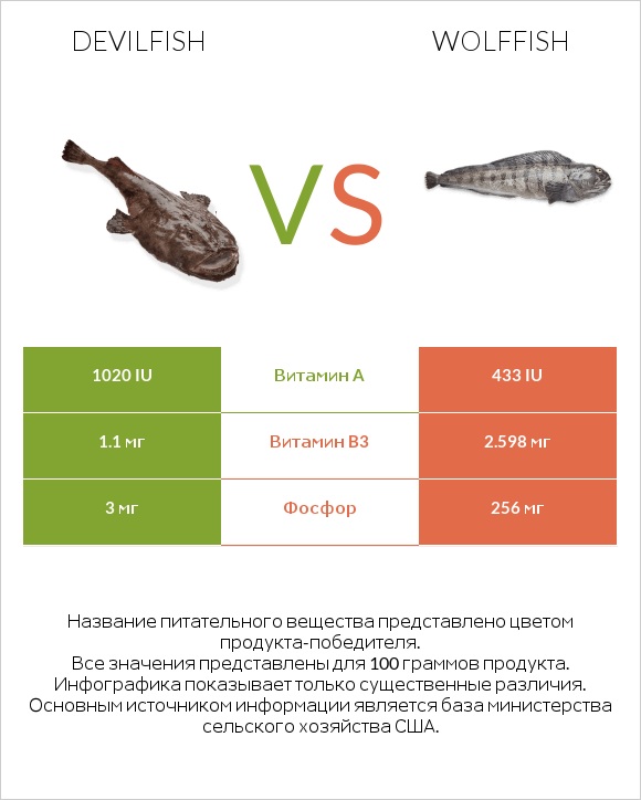 Devilfish vs Wolffish infographic