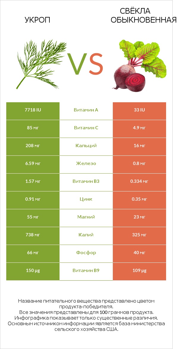 Укроп vs Свёкла обыкновенная infographic