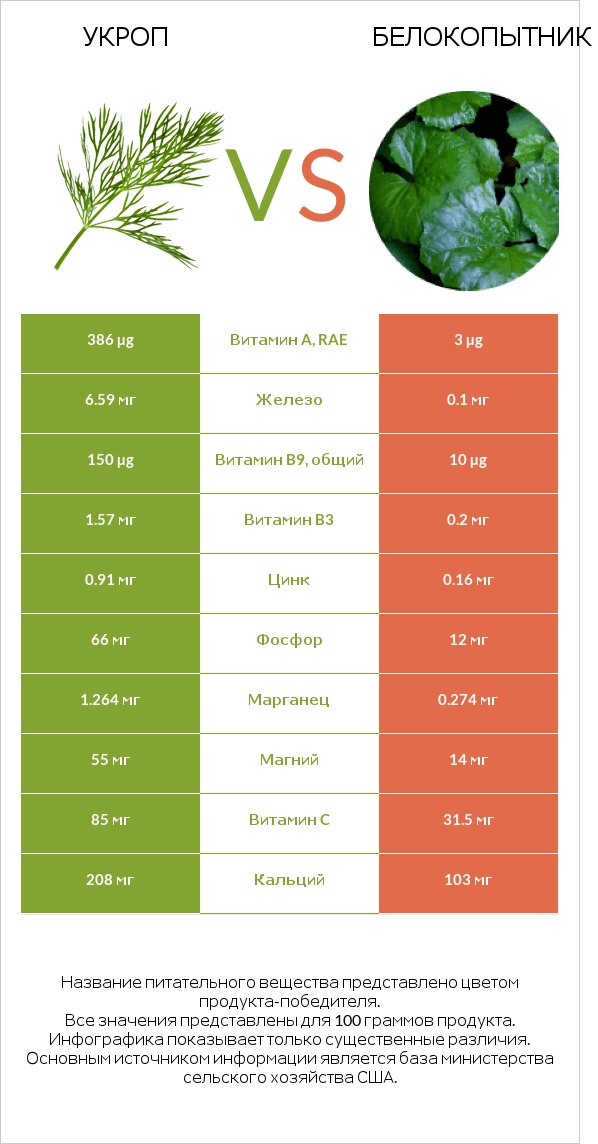 Укроп vs Белокопытник infographic