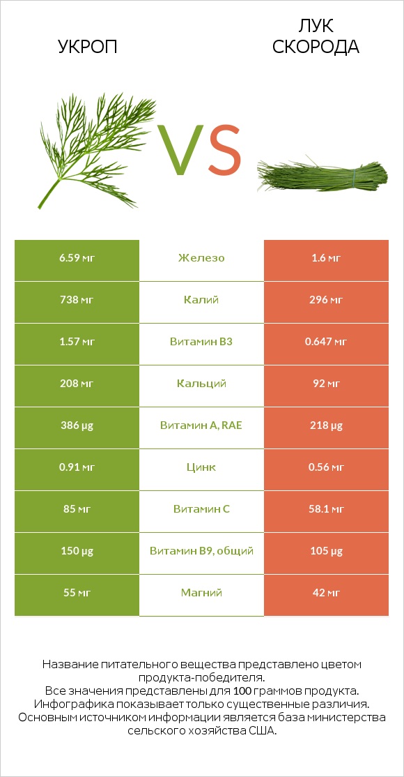 Укроп vs Лук скорода infographic