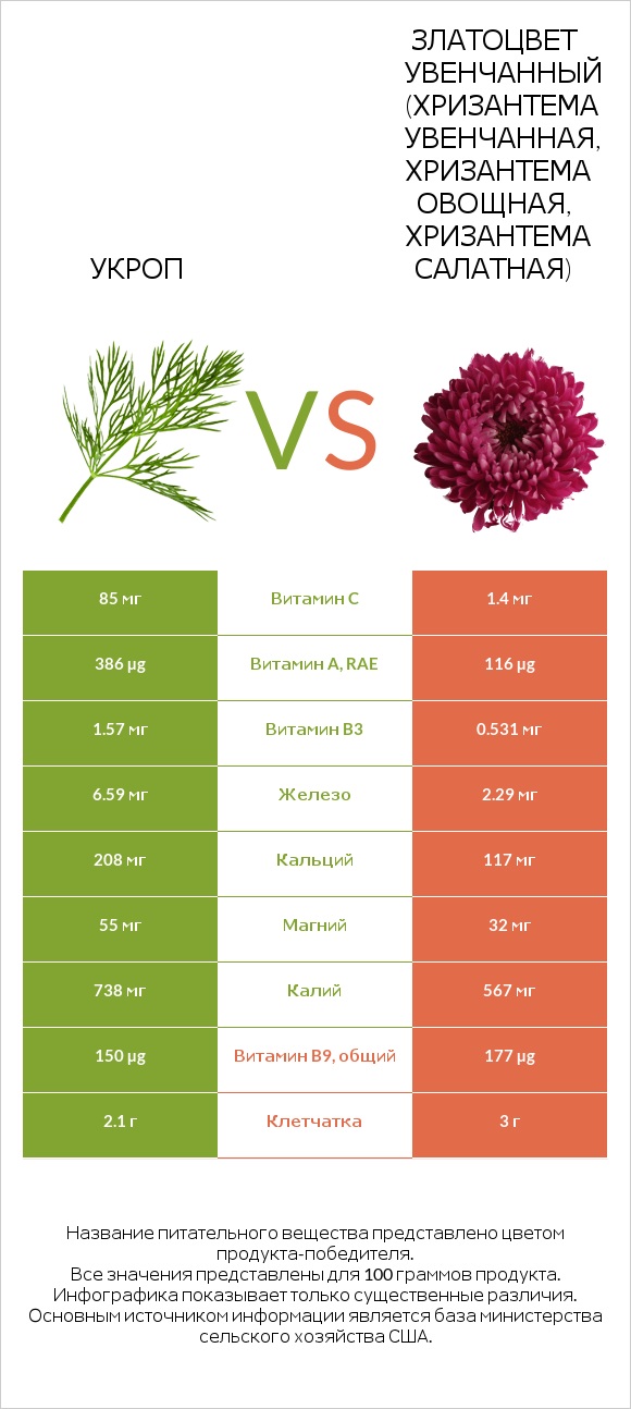 Укроп vs Златоцвет увенчанный (хризантема увенчанная, хризантема овощная, хризантема салатная) infographic