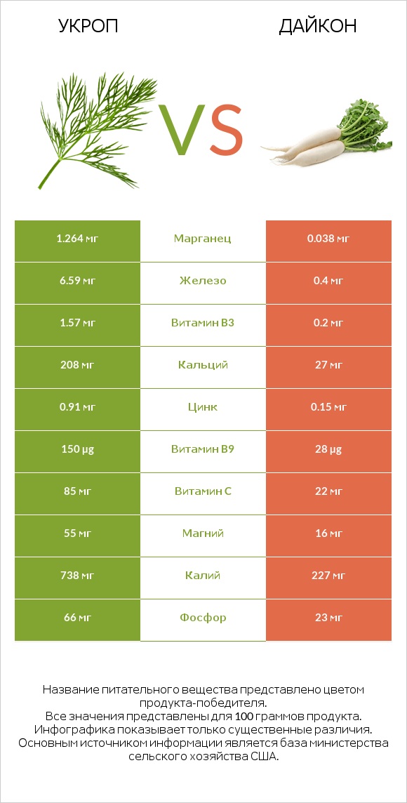 Укроп vs Дайкон infographic