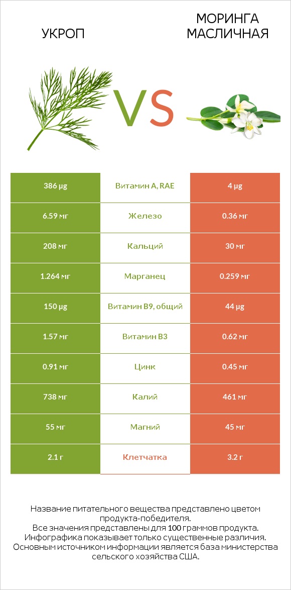 Укроп vs Моринга масличная infographic