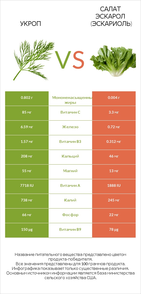 Укроп vs Салат Эскарол (эскариоль) infographic