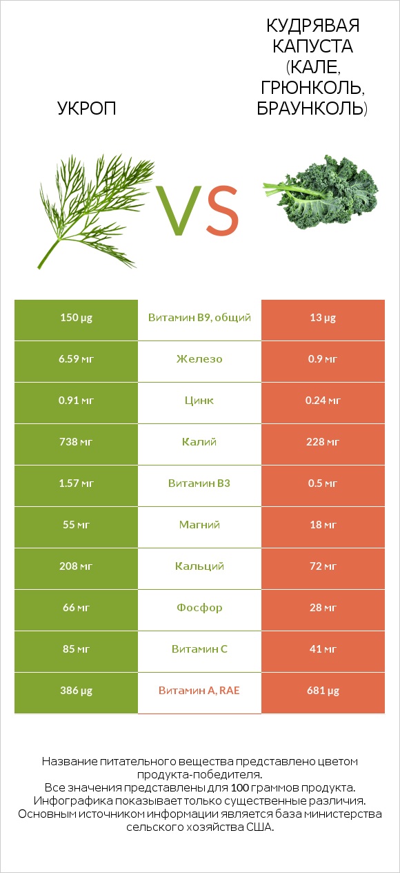 Укроп vs Кудрявая капуста (кале, грюнколь, браунколь) infographic