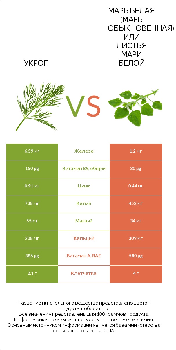 Укроп vs Марь белая (Марь обыкновенная) или Листья мари белой infographic