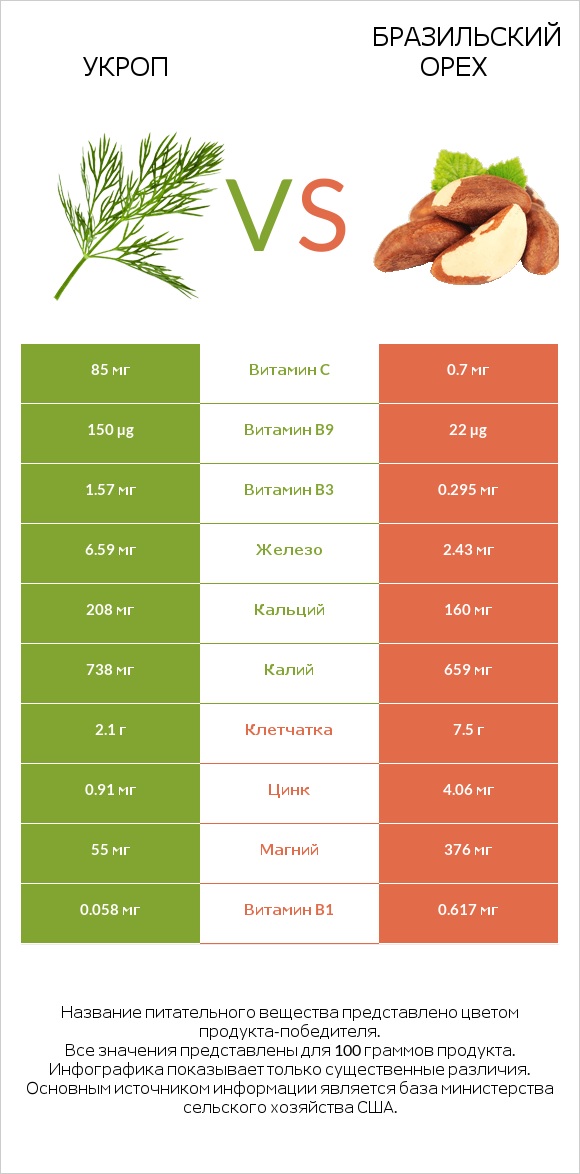 Укроп vs Бразильский орех infographic