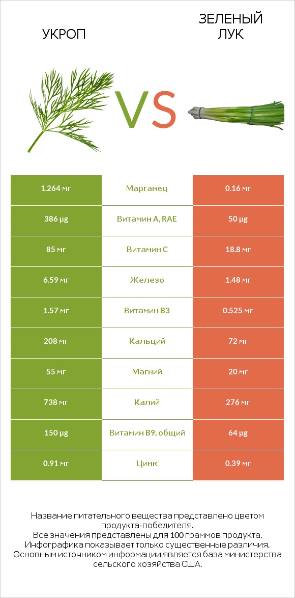 Укроп vs Зеленый лук infographic