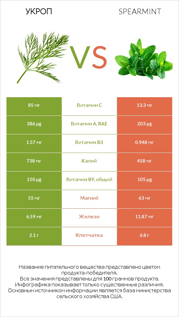 Укроп vs Spearmint infographic