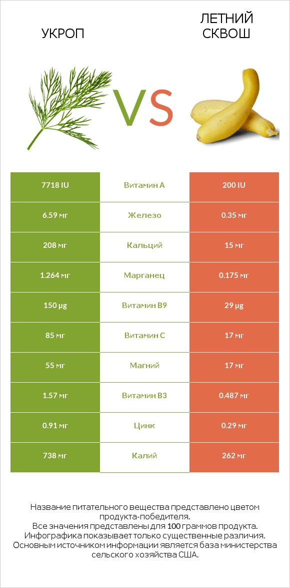 Укроп vs Летний сквош infographic