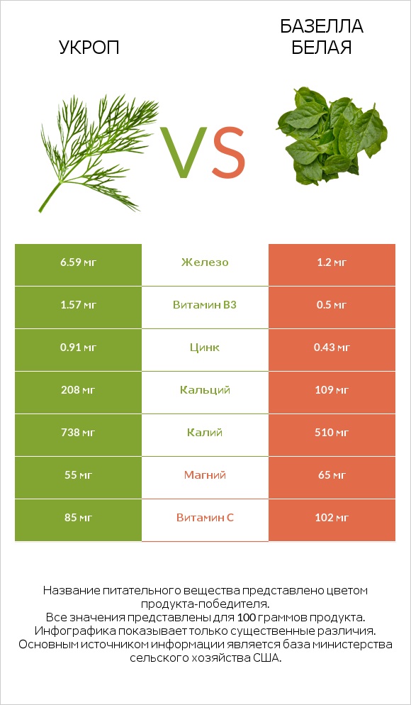 Укроп vs Базелла белая infographic