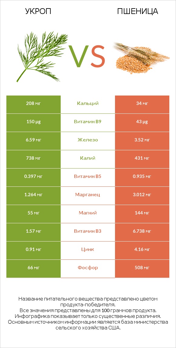 Укроп vs Пшеница infographic