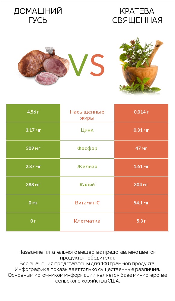 Домашний гусь vs Кратева священная infographic
