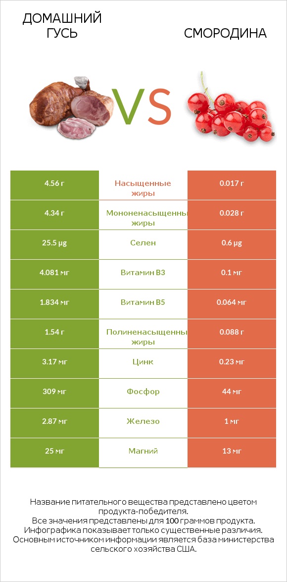 Домашний гусь vs Смородина infographic