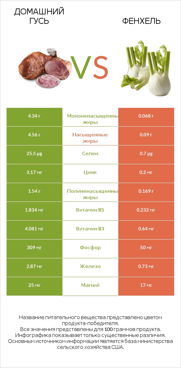 Домашний гусь vs Фенхель infographic