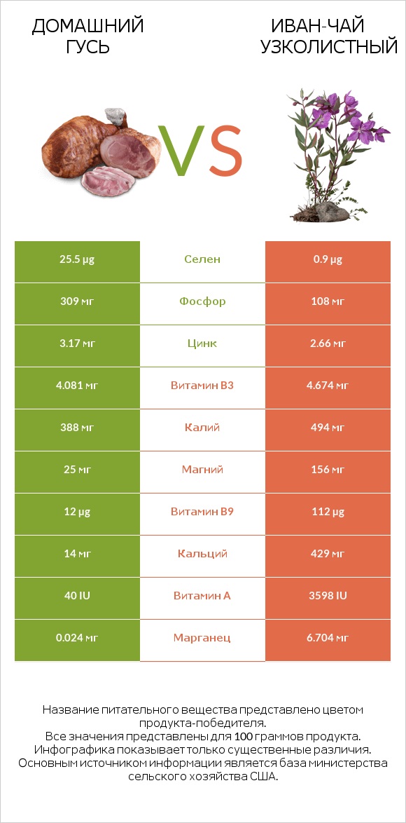 Домашний гусь vs Иван-чай узколистный infographic