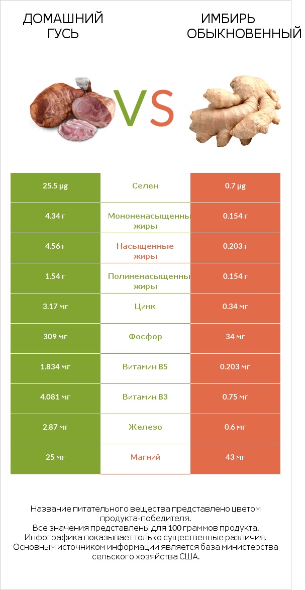 Домашний гусь vs Имбирь обыкновенный infographic