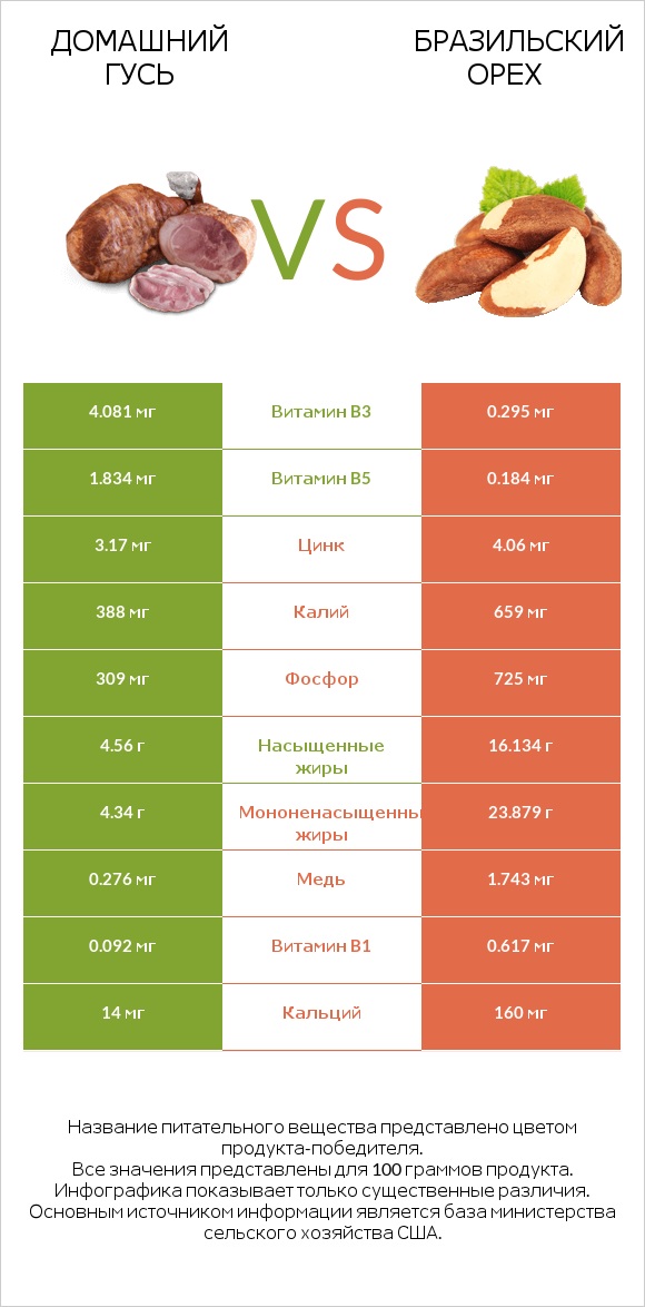 Домашний гусь vs Бразильский орех infographic