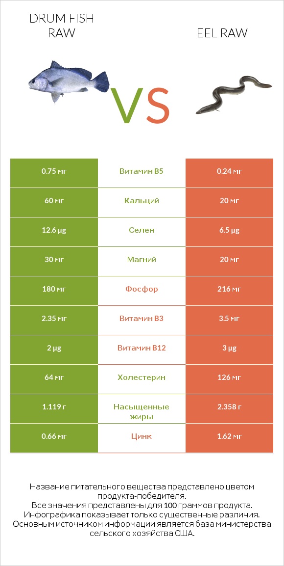 Drum fish raw vs Eel raw infographic