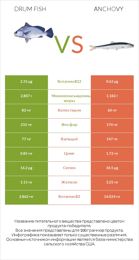 Drum fish vs Anchovy infographic