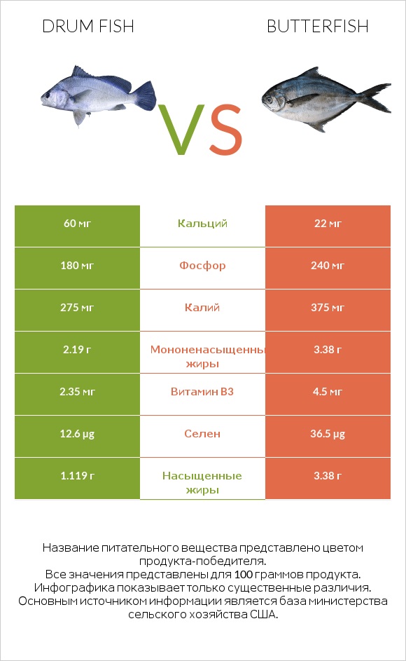 Drum fish vs Butterfish infographic