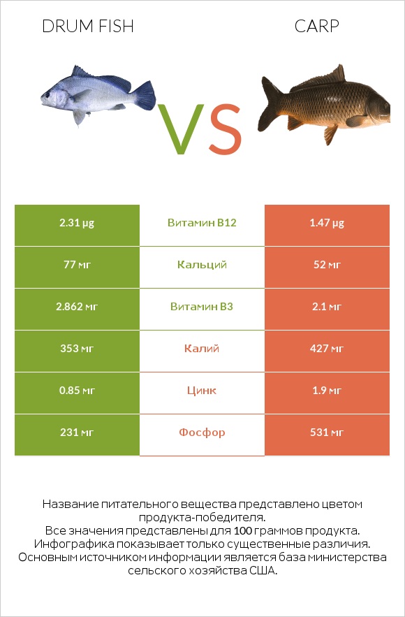 Drum fish vs Carp infographic