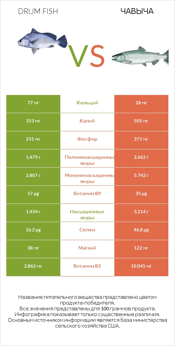 Drum fish vs Чавыча infographic