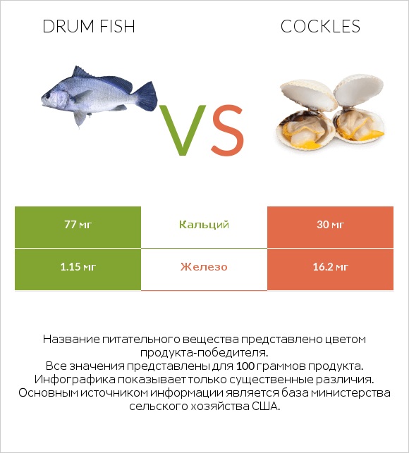 Drum fish vs Cockles infographic