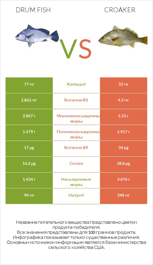 Drum fish vs Croaker infographic