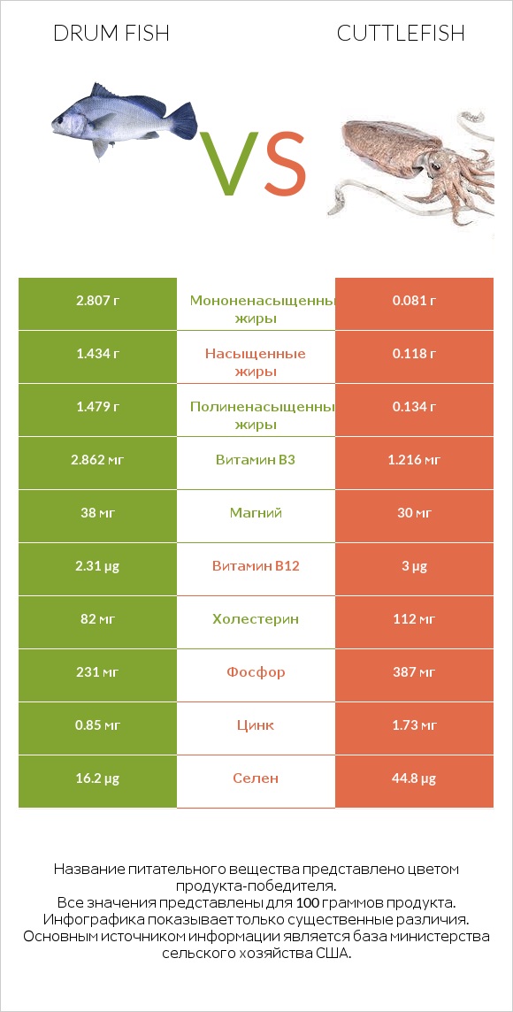 Drum fish vs Cuttlefish infographic