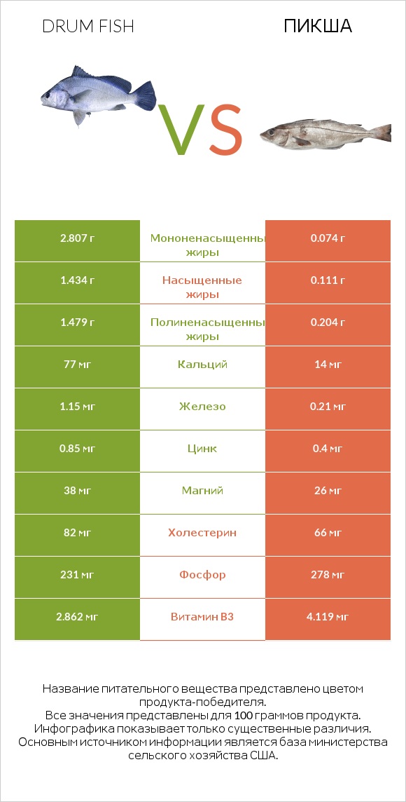 Drum fish vs Пикша infographic