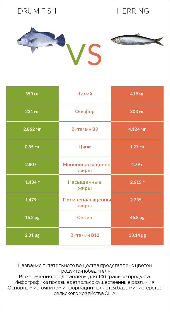 Drum fish vs Herring infographic