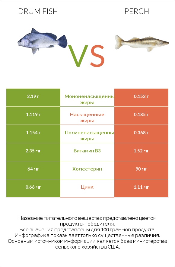Drum fish vs Perch infographic