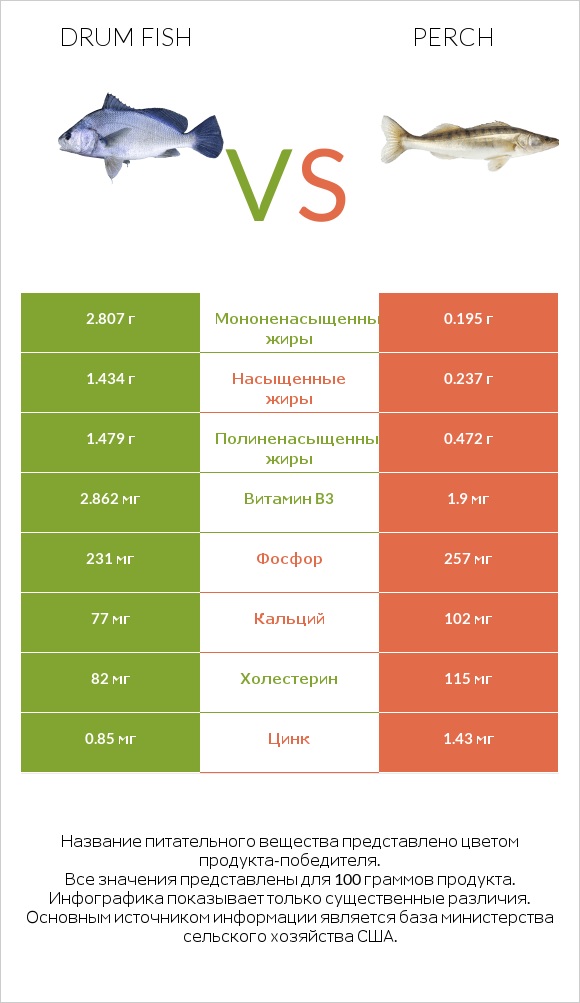 Drum fish vs Perch infographic