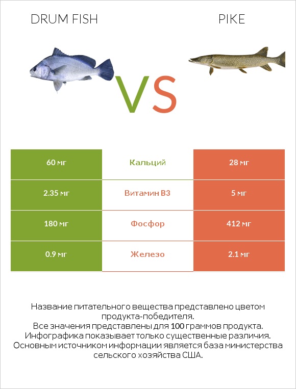 Drum fish vs Pike infographic